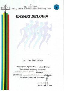 award_volleyball_big Second prize in volleyball championship