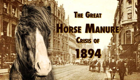 horse-manure-crisis